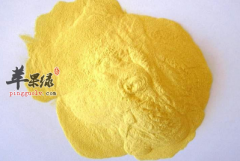 小孩子可不可以吃松花粉呢