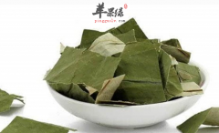 荷叶泡水喝有什么禁