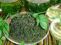 服用绞股蓝的禁忌有哪些要注意