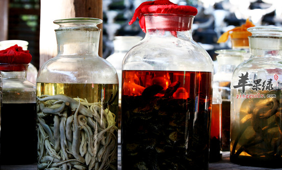 泡药酒需要注意哪些呢 来看看吧