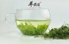 绞股蓝可以延缓衰老降低三高