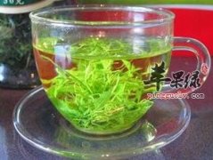 绞股蓝泡水喝能够预防很多疾病