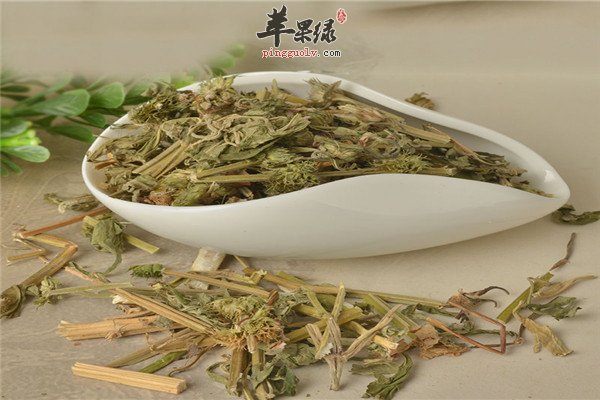 益母草生姜茶2.jpg