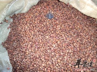 葡萄籽不仅可以美容还可预防皮肤病