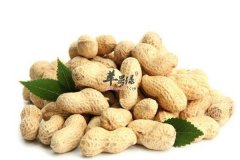 吃花生的养生功效了解让你震惊