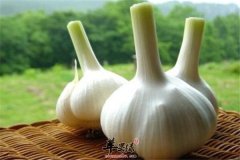 大蒜的保健作用 抗疲