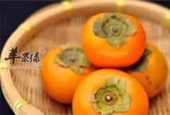 高血压患者能吃柿子