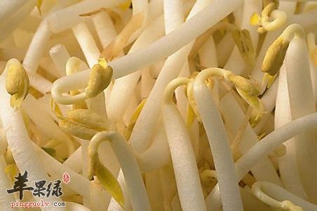 绿豆芽的食疗方法有哪些