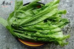 莴笋的食疗作用 能够