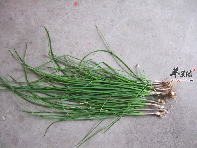 哪些人群不适合吃小蒜 禁忌人群