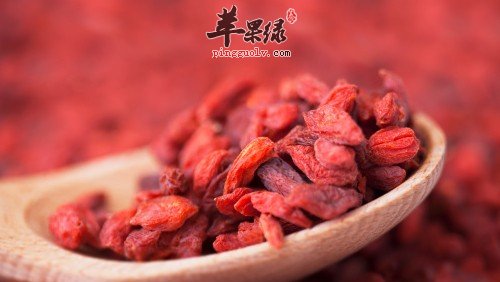 枸杞的这些挑选方法要注意