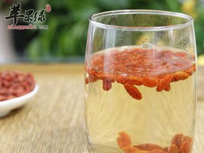 多喝枸杞泡的水可以调养身体
