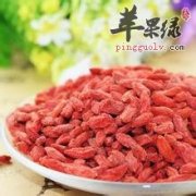 不同产地的枸杞有哪些特征