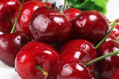 大家了解櫻桃的營養成分有哪些嗎