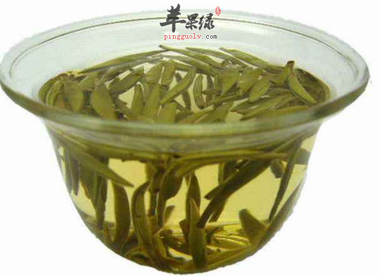 孕妇喝茉莉花茶的好处与禁忌