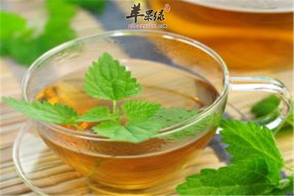 荨麻茶2.jpg