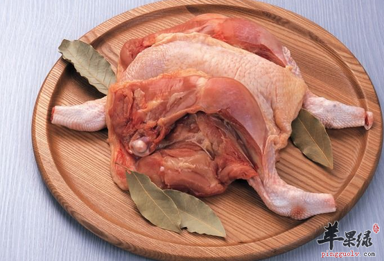 不宜食用鸽肉的三类人群需知