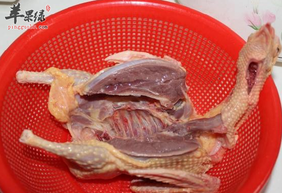 食用鸽肉对人体的三大帮助