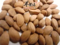 桃仁的有关食疗方都有哪些
