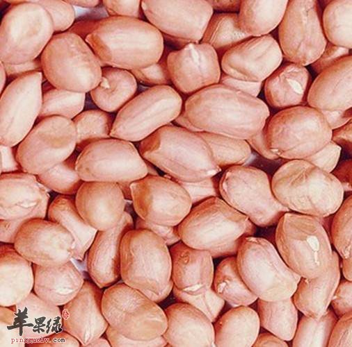 吃花生的好处众多 控制食欲稳定血糖