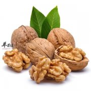核桃的正确吃法 核桃这些部位别错过