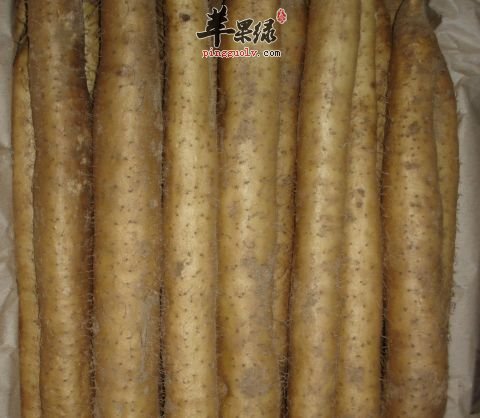 山药这种蔬菜的吃法是非常的多的