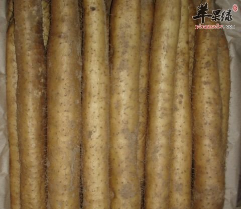 宝宝多吃山药可以健脾胃增强体质