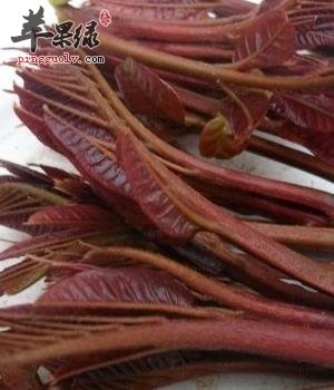 食用香椿的禁忌 这样吃香椿才更健康