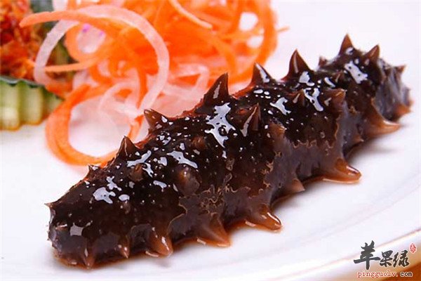 食用海参2.jpg