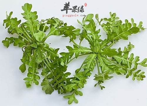 春季的野菜选择 吃这些美味还保健