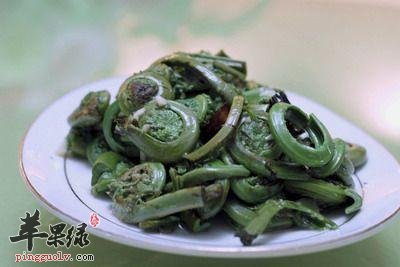 现代人很适合吃野菜 推荐春季吃这些