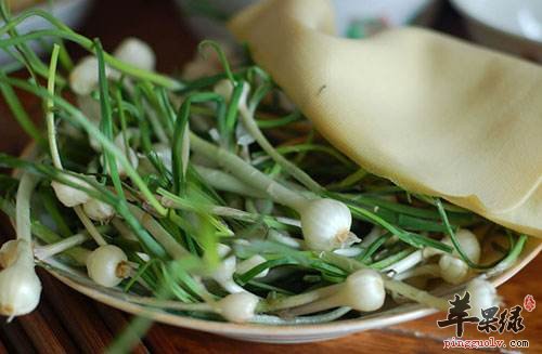 春季吃哪些野菜 这些能解毒清热消食