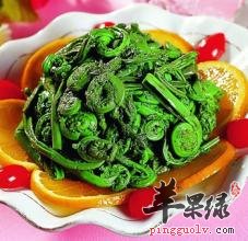 春季吃哪些野菜 这些能解毒清热消食