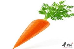 盘点胡萝卜的食用方