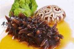 哪些人不能吃海参 六大禁忌人群