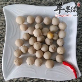 盤點甲魚蛋的功效和作用