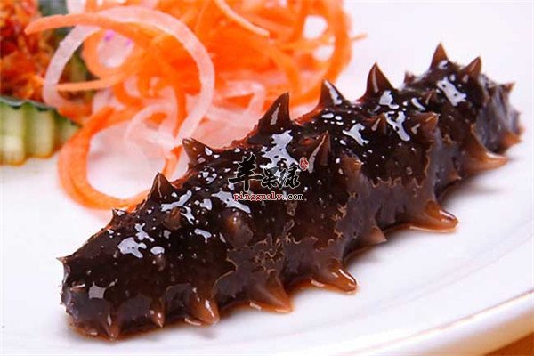 食用海参2.jpg