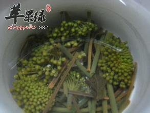 哪些人不能和三七花泡的水呢