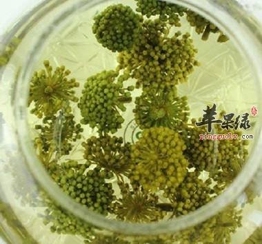 哪些人不能和三七花泡的水呢
