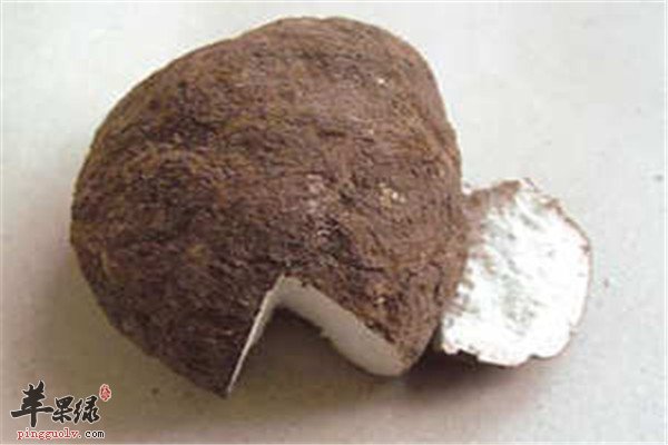 茯苓的3.jpg