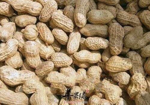 孩子能吃花生吗 吃花生有好处吗