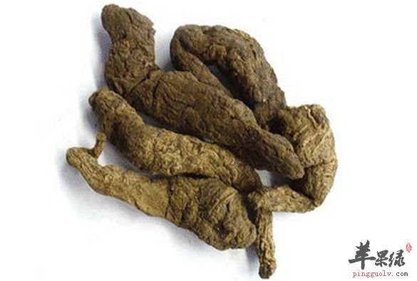 苹果绿 中药大全 功效与作用熟地黄:性温,其功用也发生变化,为 补血要