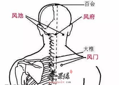 我们一起来看看风府穴的相关知识