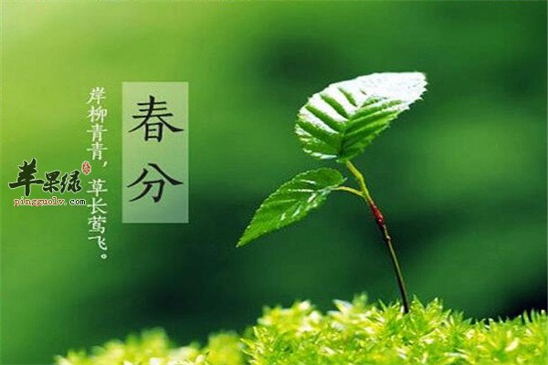 细说春分养生小知识的简单介绍-第2张图片-鲸幼网