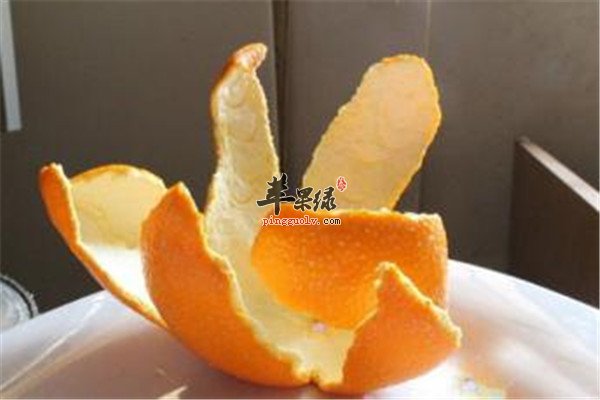 橘子皮.jpg