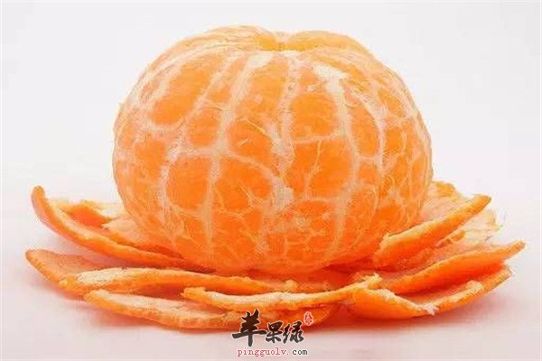 橘子皮0.jpg