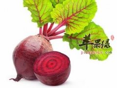 孕妇能不能吃甜菜根