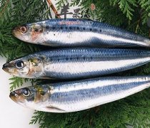 青鱼这样的食物适合