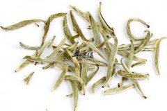 白毫银针的好处以及