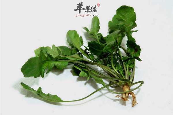 明目护眼的食物 荠菜和蛋黄